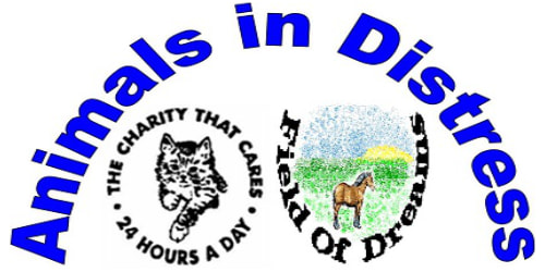 Animals in Distress